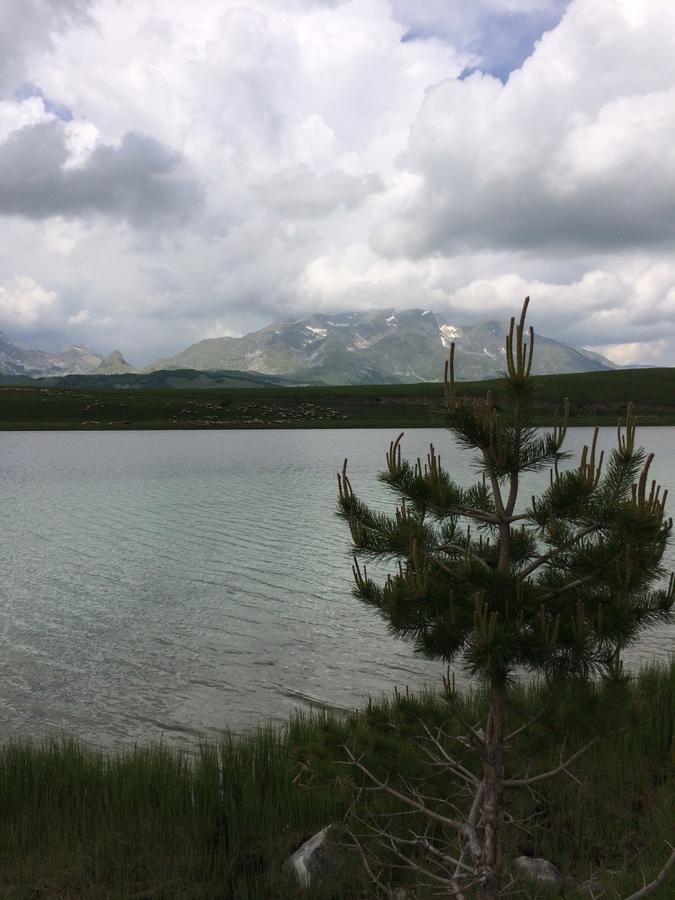 Дома для отпуска Holiday Home Bella Жабляк