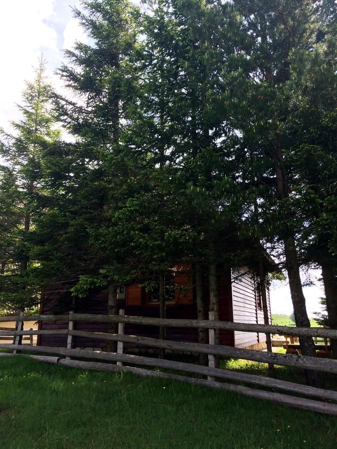 Дома для отпуска Holiday Home Bella Жабляк