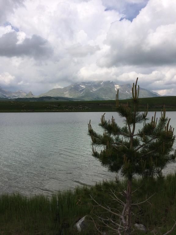 Дома для отпуска Holiday Home Bella Жабляк