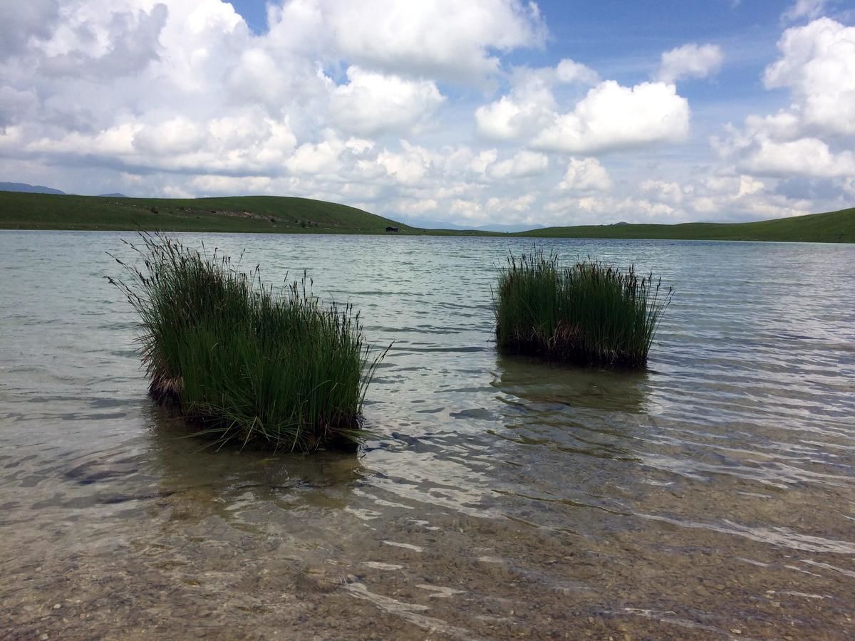 Дома для отпуска Holiday Home Bella Жабляк