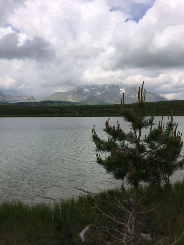 Дома для отпуска Holiday Home Bella Жабляк-13