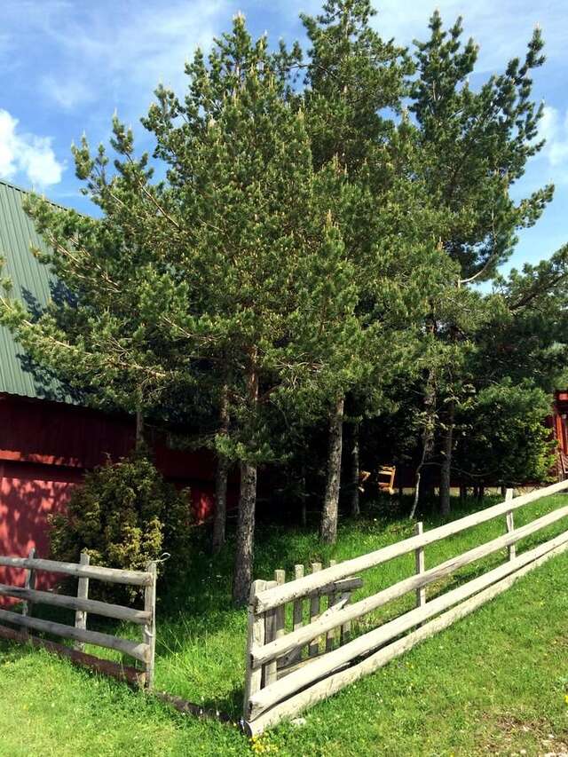 Дома для отпуска Holiday Home Bella Жабляк-36