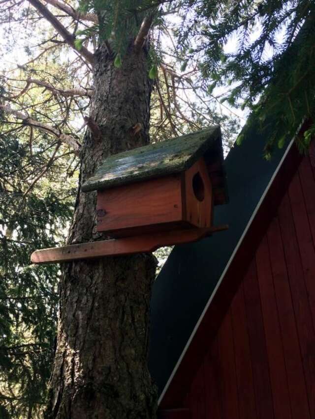 Дома для отпуска Holiday Home Bella Жабляк-66