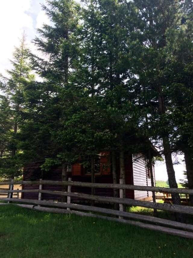 Дома для отпуска Holiday Home Bella Жабляк-67