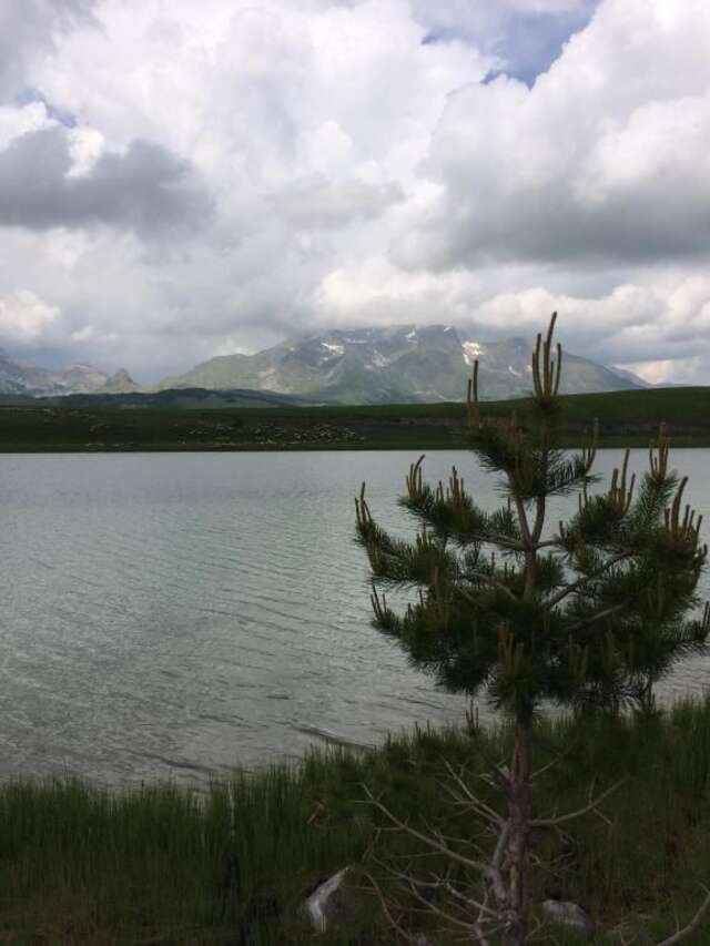 Дома для отпуска Holiday Home Bella Жабляк-82